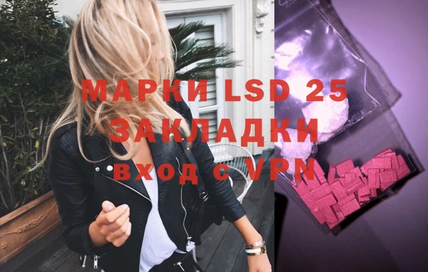 эйфоретик Алзамай