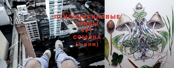ГАЛЛЮЦИНОГЕННЫЕ ГРИБЫ Алексин