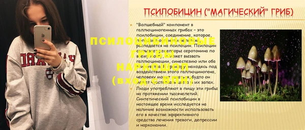 эйфоретик Алзамай