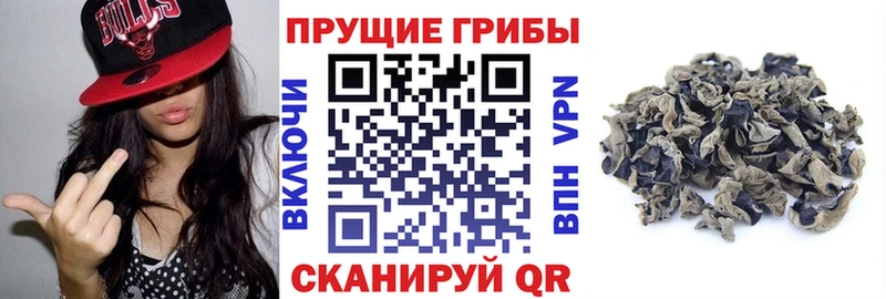 Галлюциногенные грибы мухоморы  дарнет шоп  блэк спрут сайт  нарко площадка какой сайт  Междуреченск 