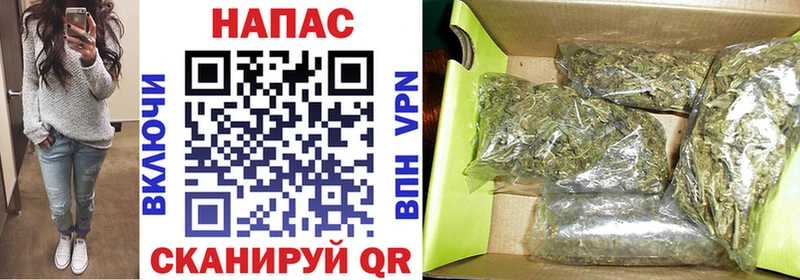 Бошки марихуана гибрид  что такое   Междуреченск 